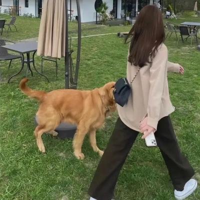 乖女唔易做 在线观看